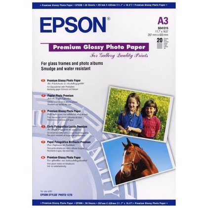Epson Premium Glossy Photo Paper 255 g, A3 - 20 lapų