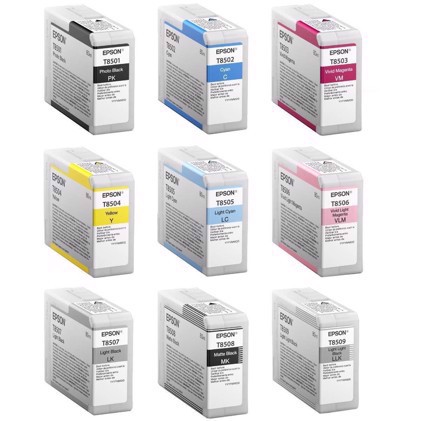 Pilnas rašalo kasečių rinkinys Epson SureColor P800