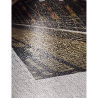 Hahnemühle Canvas Metallic 350 g/m² - 17" x 12 metro