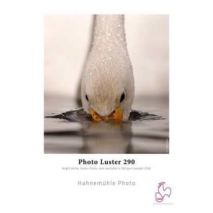 Hahnemühle Photo Luster 290 g/m² - 44" x 30 metro
