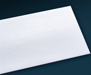 Rauch Vinyl Matt PRO 220 Outdoor Vinyl Film, self-adhesive - 130 g/m², 60" x 30 metro