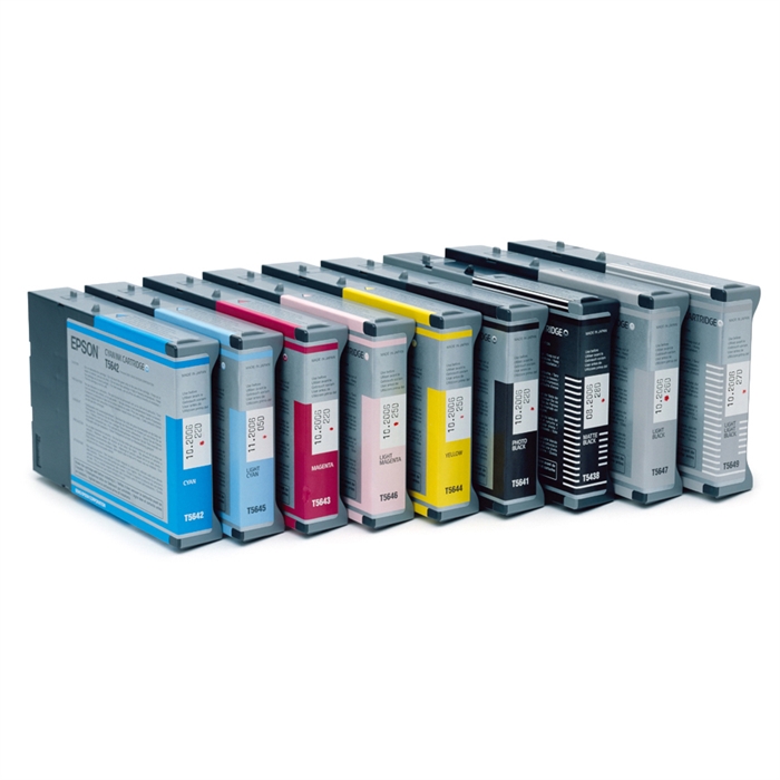 Epson Light Magenta T602C00