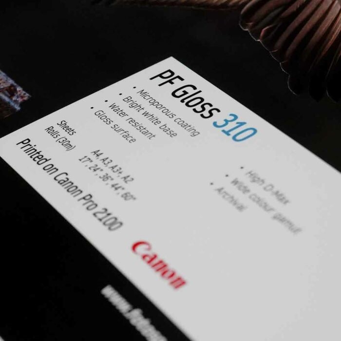 Fotospeed PF Gloss 310 g/m² - 17" x 30 metro