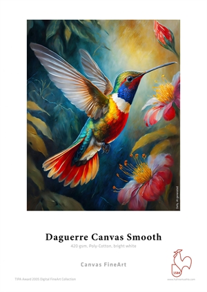 Hahnemühle Daguerre Canvas Smooth 420 g/m² - 17" x 12 metro